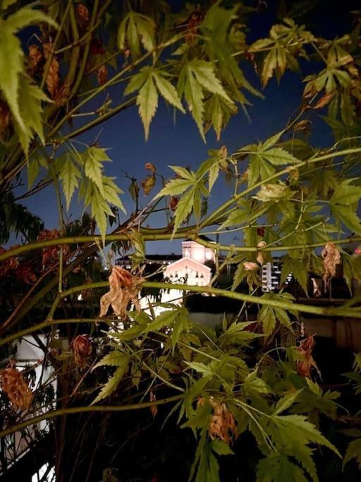 Stazione A 3 Min-filzi 41 Apartamento *